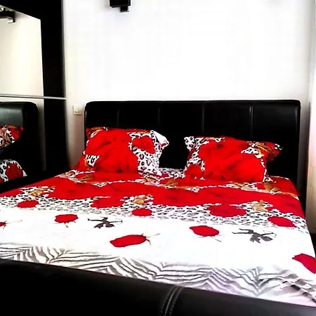 Apartament 2 Dorobanti Floreasca Apartment *